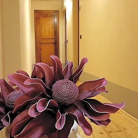 Scalette Di Piazza 4* Montalcino
